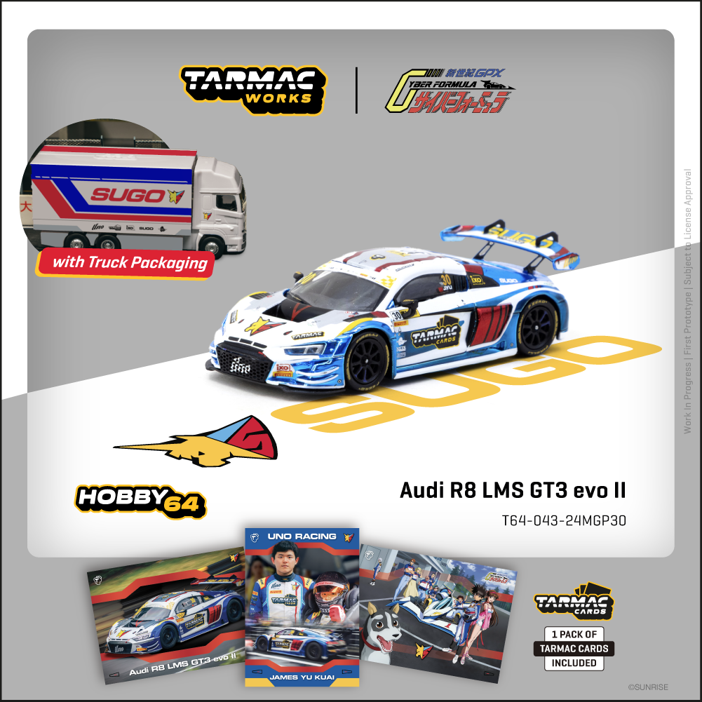 (Pre-Order) (T64-043-24MGP30) Audi R8 LMS GT3 evo II
